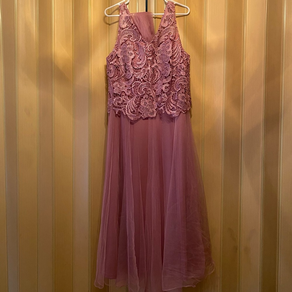 Midnight Velvet Rose Quartz Chiffon Lace Dress Gown